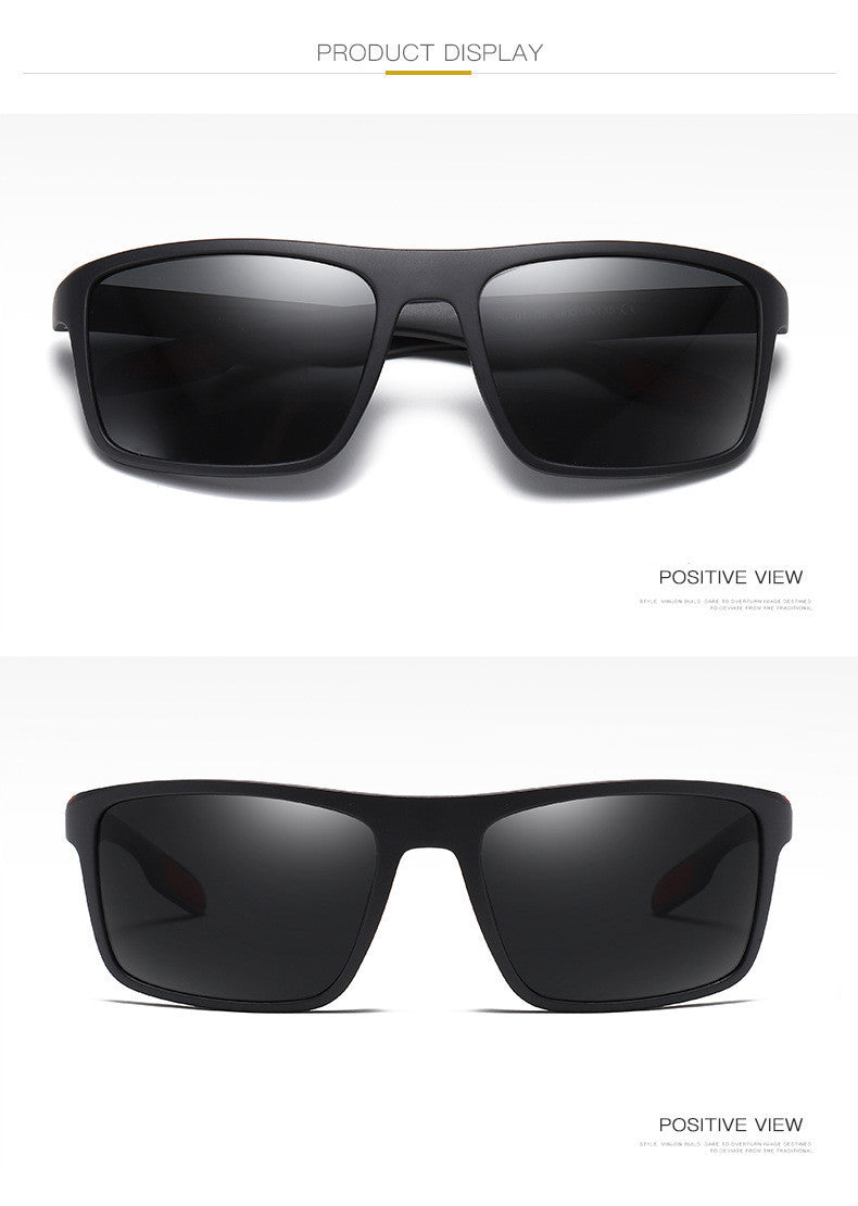 Cruise Shield Polarized