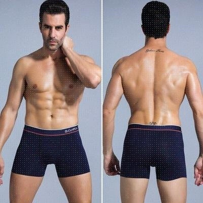 Flex Fit Full Coverage Briefs