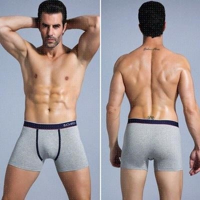 Flex Fit Full Coverage Briefs