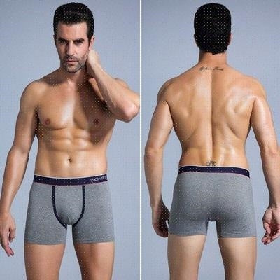 Flex Fit Full Coverage Briefs