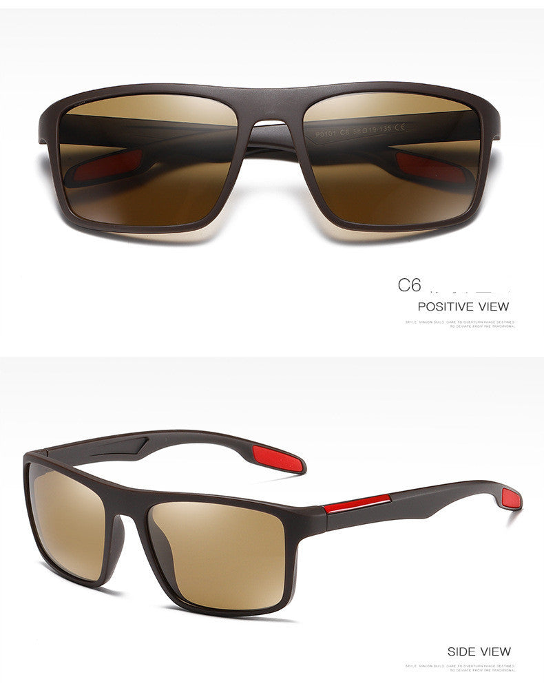 Cruise Shield Polarized