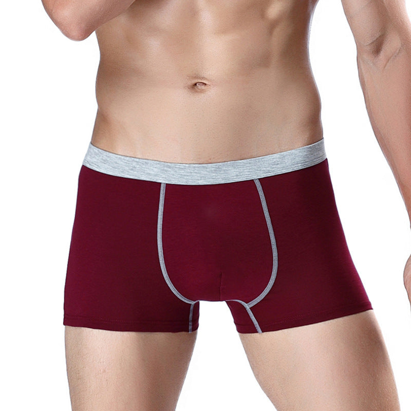 Timeless Fit Classic Boxer Briefs