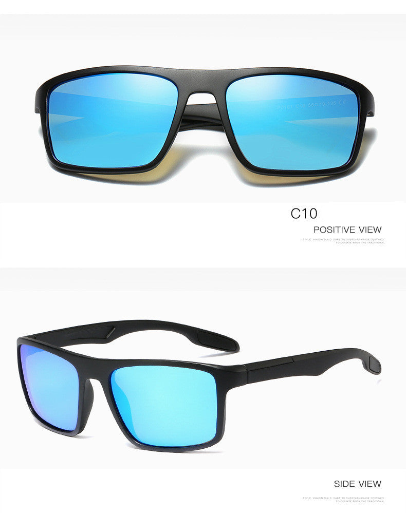 Cruise Shield Polarized